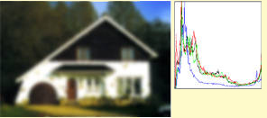 trait_trans_blur.jpg (23598 bytes)